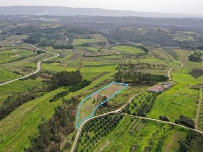 Annonce Vente Terrain Alcobaca