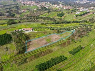 Acheter Terrain 2500 m2 Alcobaca