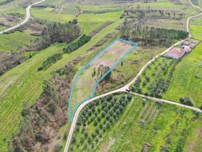 Acheter Terrain Alcobaca r�gion LEIRIA