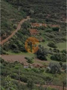 Acheter Terrain 32767 m2 Silves