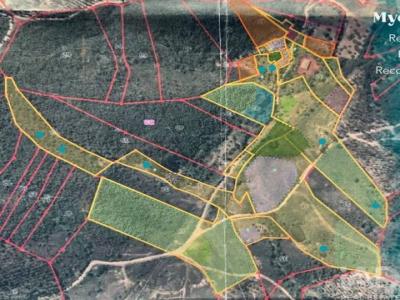 Annonce Vente Maison Castelo-branco