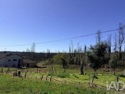 Annonce Vente Terrain Agueda