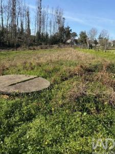 Acheter Terrain Agueda r�gion AVEIRO