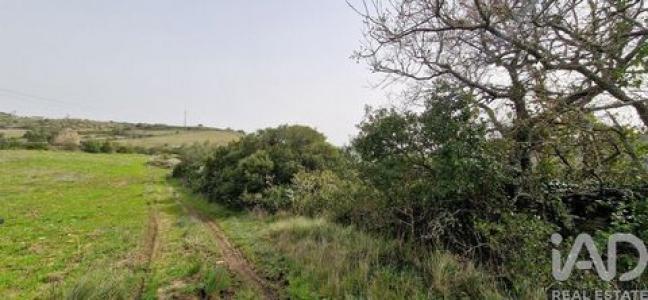 Annonce Vente Terrain Mafra