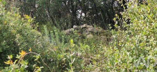 Acheter Terrain 9760 m2 Mafra