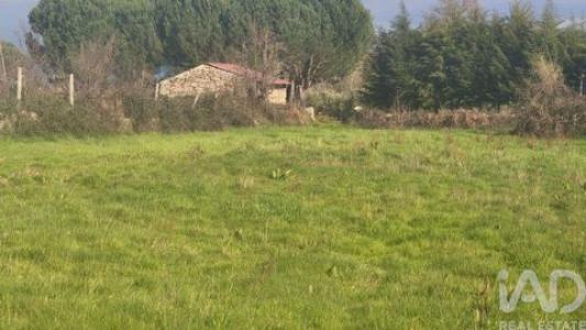 Annonce Vente Terrain Oliveira-do-hospital