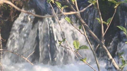 Acheter Terrain 3560 m2 Oliveira-do-hospital