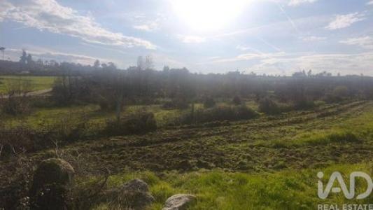 Acheter Terrain Oliveira-do-hospital r�gion COIMBRA