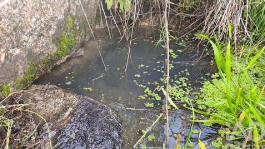 Acheter Terrain 1480 m2 Oliveira-do-hospital