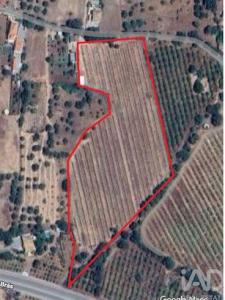 Annonce Vente Terrain Sao-bras-de-alportel