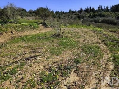 Acheter Terrain 1500 m2 Mafra