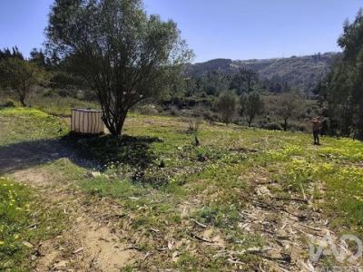 Acheter Terrain Mafra r�gion LISBOA