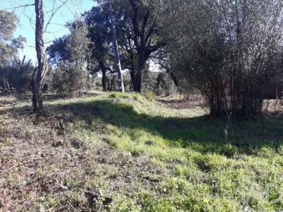 Annonce Vente Terrain Monchique