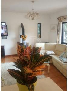 Acheter Maison 122 m2 Loule