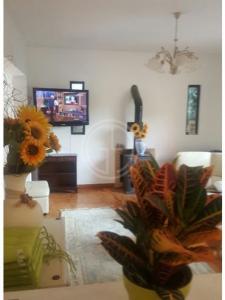 Acheter Maison Loule r�gion FARO