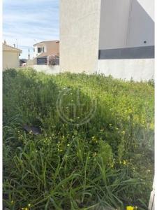 Acheter Terrain Faro r�gion FARO