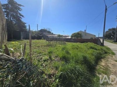 Vente Terrain Cadaval  11 au Portugal