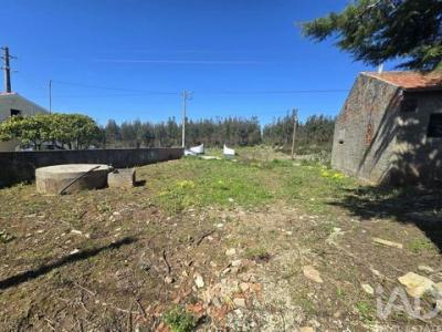 Annonce Vente Terrain Cadaval