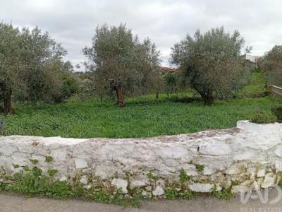 Acheter Terrain 120 m2 Loule