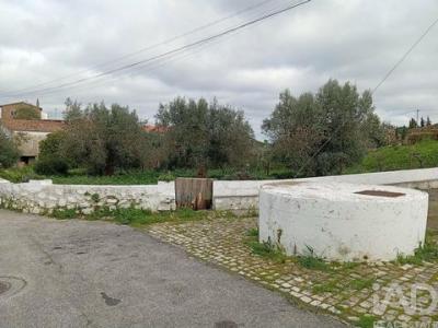 Acheter Terrain Loule r�gion FARO