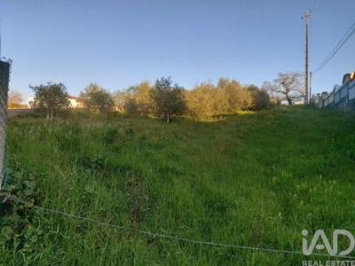 Acheter Terrain Batalha r�gion LEIRIA