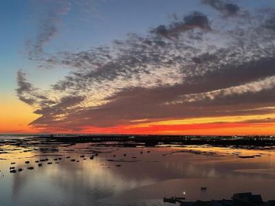 Annonce Vente 13 pi�ces Appartement Faro