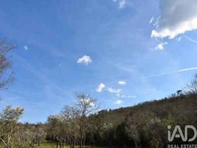 Annonce Vente Terrain Ferreira-do-zezere