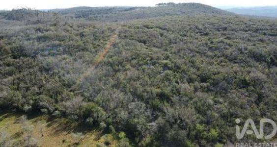 Acheter Terrain 15800 m2 Ferreira-do-zezere
