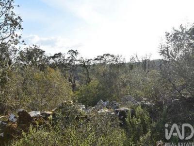 Annonce Vente Terrain Ferreira-do-zezere