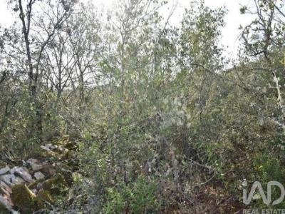 Acheter Terrain Ferreira-do-zezere r�gion SANTAREM