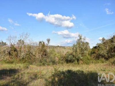 Annonce Vente Terrain Ferreira-do-zezere
