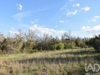 Acheter Terrain 5400 m2 Ferreira-do-zezere