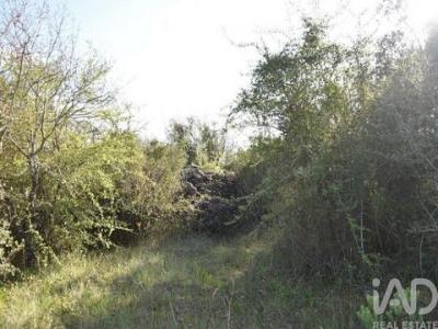 Acheter Terrain Ferreira-do-zezere r�gion SANTAREM