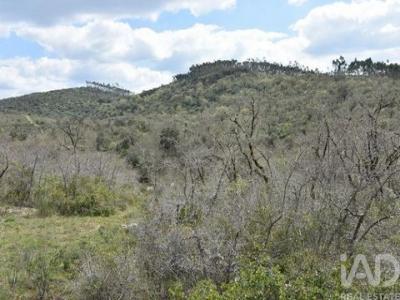 Vente Terrain Ferreira-do-zezere  14 au Portugal