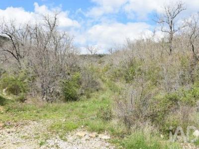 Annonce Vente Terrain Ferreira-do-zezere