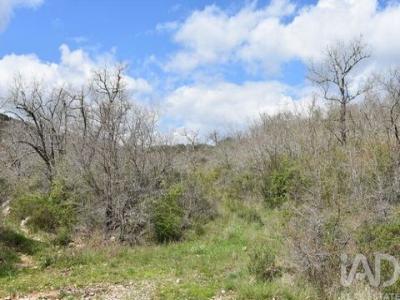 Acheter Terrain 3320 m2 Ferreira-do-zezere