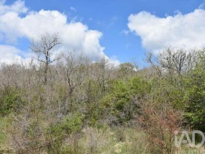 Acheter Terrain Ferreira-do-zezere r�gion SANTAREM