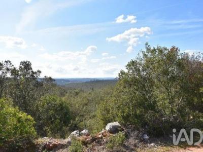 Annonce Vente Terrain Ferreira-do-zezere