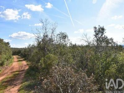 Acheter Terrain Ferreira-do-zezere r�gion SANTAREM