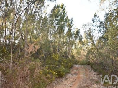 Annonce Vente Terrain Ferreira-do-zezere