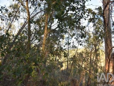 Acheter Terrain Ferreira-do-zezere r�gion SANTAREM