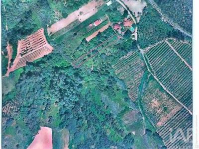 Annonce Vente Terrain Caldas-da-rainha