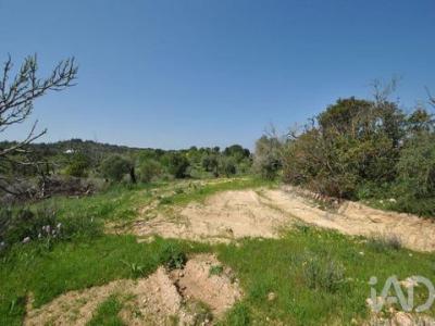 Acheter Terrain 8600 m2 Albufeira