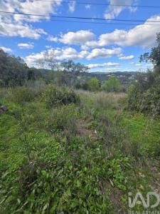 Annonce Vente Terrain Sao-bras-de-alportel