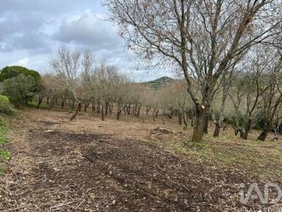 Annonce Vente Terrain Sintra
