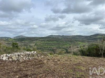 Acheter Terrain Sintra r�gion LISBOA