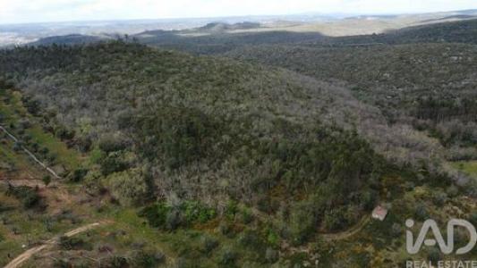 Vente Terrain Ferreira-do-zezere  14 au Portugal