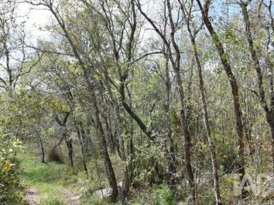 Acheter Terrain 8200 m2 Ferreira-do-zezere