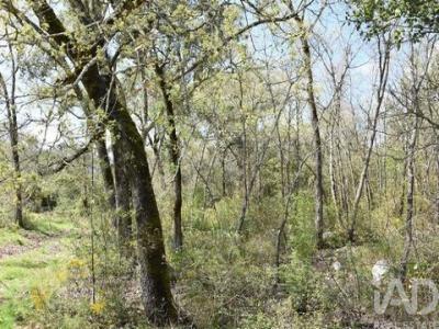 Acheter Terrain Ferreira-do-zezere r�gion SANTAREM