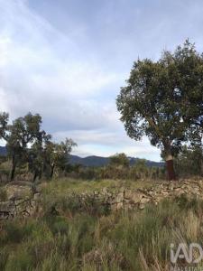 Acheter Terrain Idanha-a-nova r�gion CASTELO-BRANCO